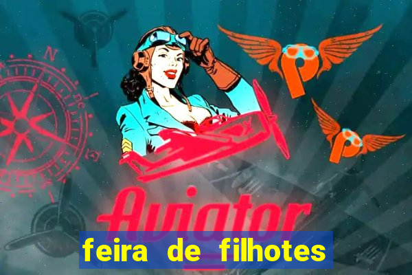 feira de filhotes porto alegre